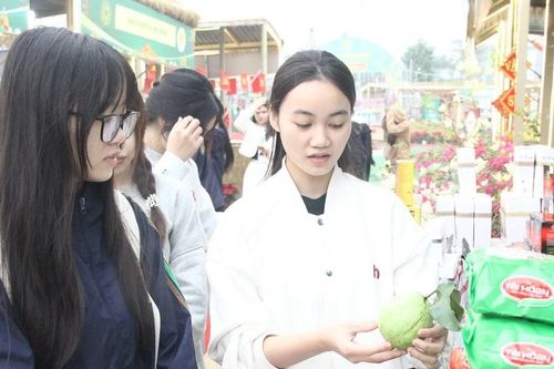 Giáo dục truyền thống văn hóa cho sinh viên qua Hội chợ Xuân