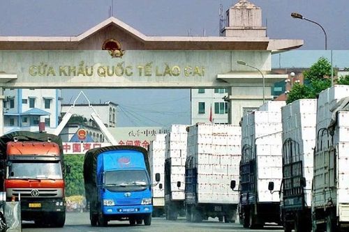 Bộ Nông nghiệp và Môi trường chủ động gỡ 'điểm nghẽn' ùn tắc nông sản ở cửa khẩu