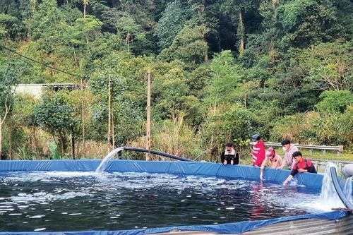 Cá hồi 'made in Đà Nẵng' của chàng trai Xơ Đăng