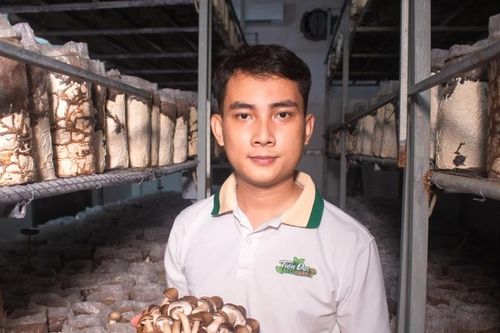 Bỏ phố về quê, chàng trai 3 bằng đại học khởi nghiệp trồng nấm