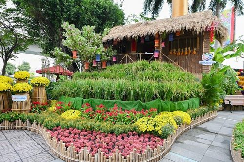 Đường hoa Xuân Bính Ngọ 2026: Không gian Tết kết nối ba miền đất nước