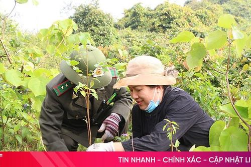 Xã ven biển Hà Tĩnh trồng 20.000 cây xanh dịp đầu xuân