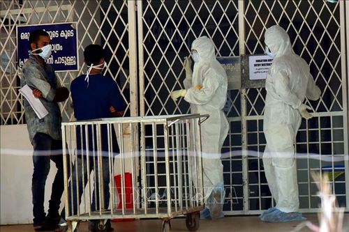 WHO: Nguy cơ lây lan virus Nipah tại Ấn Độ ở mức thấp