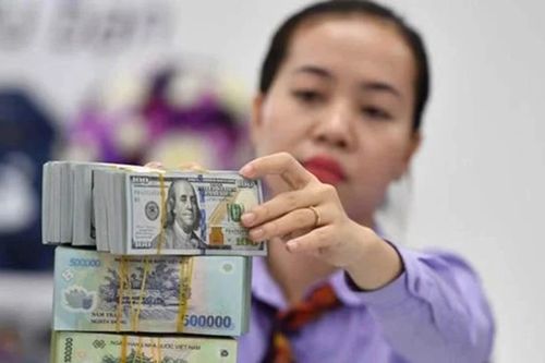 Lịch chốt quyền cổ tức tuần tới: Cổ đông Giấy Việt Trì, Cát Lợi, Biwase đếm tiền mỏi tay