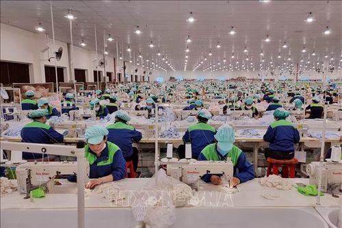 Lý giải nguyên nhân nhiều thương hiệu thời trang Việt phải đóng cửa