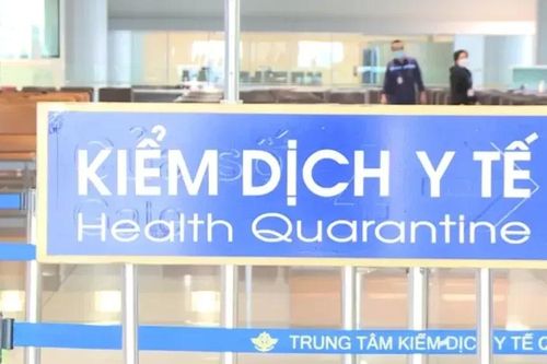 WHO nhận định gì về nguy cơ virus Nipah xâm nhập Việt Nam?