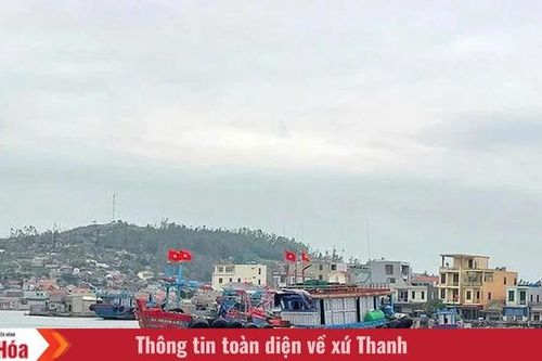 Mùa xuân theo Đảng (Bài 2): Ngày xuân ấm no