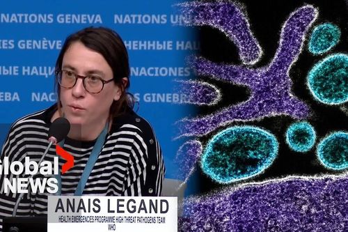 WHO đánh giá nguy cơ lây lan virus Nipah từ Ấn Độ ở mức thấp