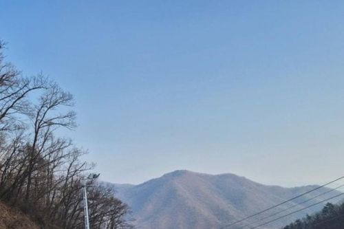 Jisan Forest Resort: Hành trình trượt tuyết trong ngày ngay sát Seoul