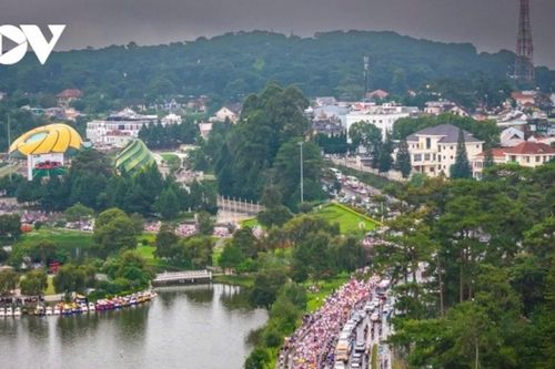 Đà Lạt 2026: Trải nghiệm road trip và du lịch liên tuyến khi sân bay tạm nghỉ