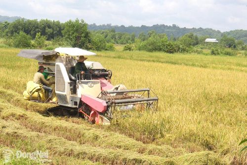 Xã Đak Lua đạt và vượt 23/24 chỉ tiêu về kinh tế - xã hội, quốc phòng - an ninh