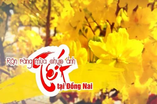 Rộn ràng mùa chụp ảnh Tết tại Đồng Nai