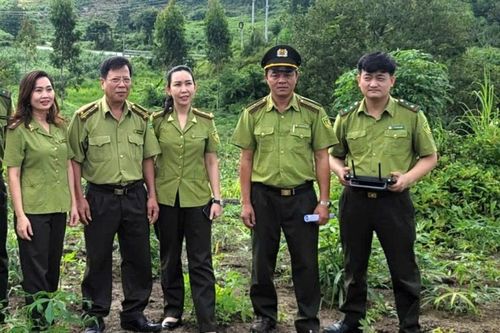 Nâng cao năng lực theo dõi diễn biến rừng bằng công nghệ số