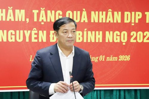 Đồng chí Lê Trọng Yên thăm, chúc Tết doanh nghiệp, chủ rừng