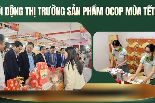 Sôi động thị trường sản phẩm OCOP mùa Tết