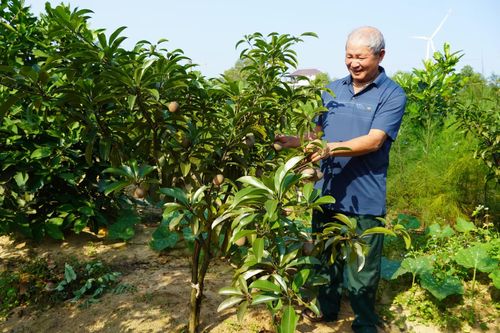 Cựu chiến binh giúp nhau giảm nghèo, làm kinh tế giỏi