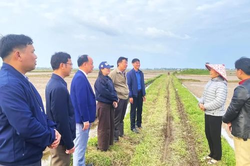 Học và làm theo Bác để nâng cao chất lượng phục vụ Nhân dân