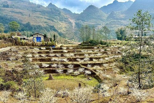 Xuân đã về biên cương Phố Bảng