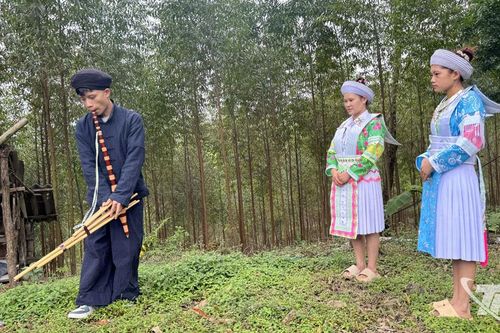 Tiếng khèn gọi xuân trên bản Mông