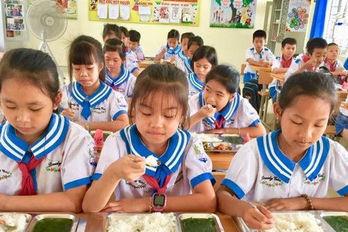 TP. Hồ Chí Minh: Rà soát bữa ăn bán trú tại tất cả các trường học