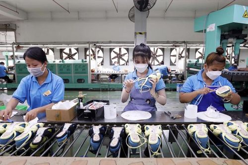 Hơn 54.000 doanh nghiệp gia nhập và tái gia nhập thị trường trong tháng 1/2026