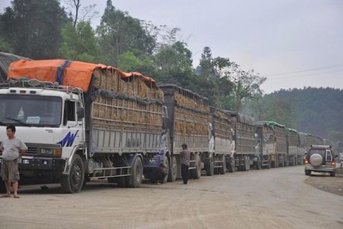 Ách tắc 300.000 tấn nông sản ở cửa khẩu: Bộ Nông nghiệp và Môi trường lên tiếng