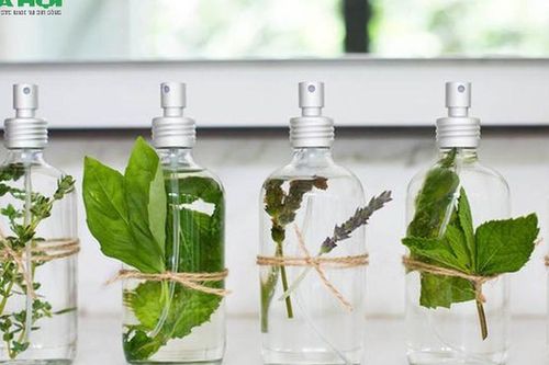 Tinh dầu thiên nhiên dưỡng da: 4 loại mát lành giúp da rạng rỡ, khỏe đẹp từ bên trong
