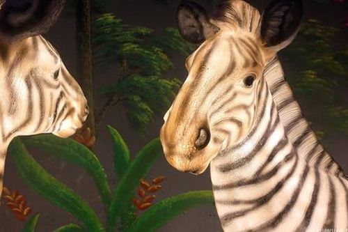 Cận cảnh một Safari huyền bí trên đỉnh Ô Quy Hồ