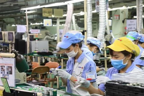 Từ Nghị quyết 57 đến khát vọng doanh nghiệp công nghệ khu vực