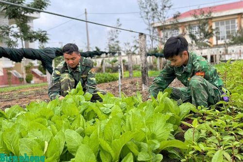 Chan chứa nghĩa tình từ 'Gian hàng rau xanh 0 đồng'