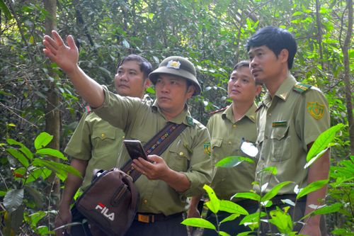 Kiểm lâm Đồng Nai 'căng mình' giữ rừng những ngày cận Tết