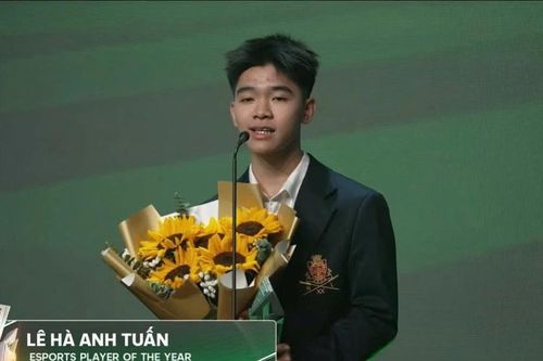 Lê Hà Anh Tuấn giành cú đúp danh hiệu Esports 2025