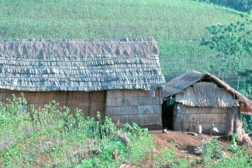 Nhớ đêm giao thừa đầu tiên ở Tây Nguyên: hàng xóm bồng bế nhau đi tá túc