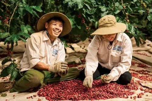 Xây dựng thương hiệu để nâng cao giá trị xuất khẩu