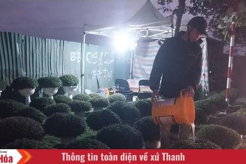 Dựng lều 'bán mùa xuân'