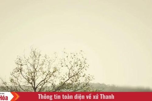 Nhìn lại để bước tiếp