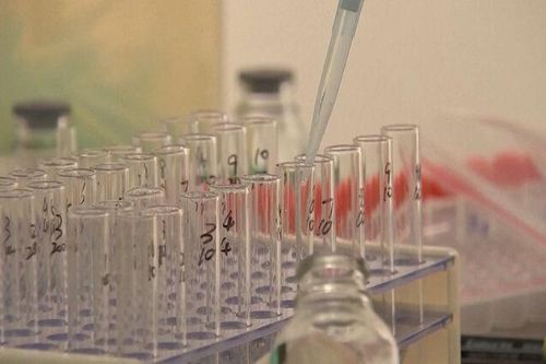Thử nghiệm lâm sàng vaccine ngừa virus Nipah