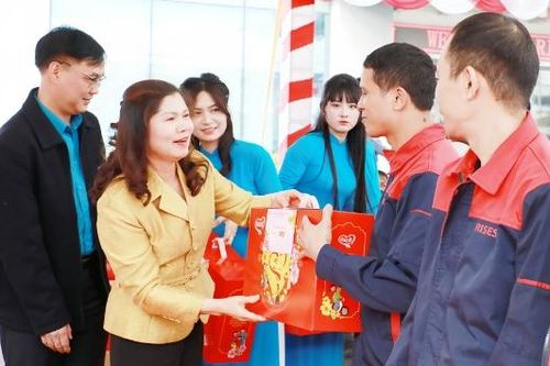 Phó Chủ tịch HĐND tỉnh Lâm Thị Hương Thành tặng quà Tết công nhân khó khăn