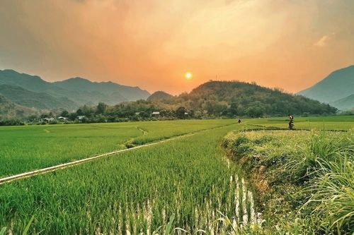 Theo dấu mây rong ruổi