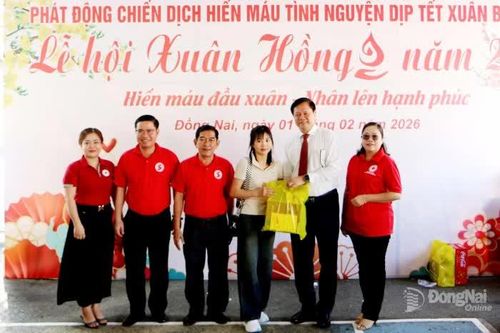 Đồng Nai tổ chức Lễ hội Xuân Hồng năm 2026