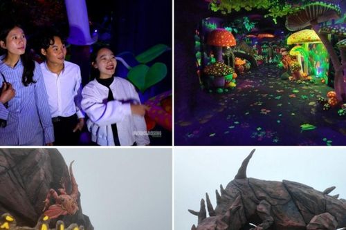 Đèo Ô Quy Hồ: Trải nghiệm Safari ánh sáng huyền bí giữa lòng núi rừng Tây Bắc