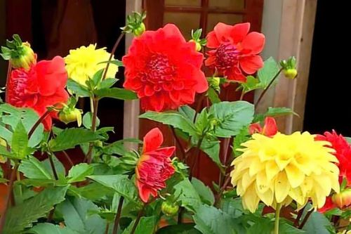 Đếm ngược yêu thương để trở về
