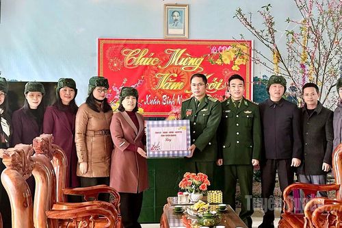 Trưởng Đoàn ĐBQH tỉnh Lý Thị Lan thăm, chúc Tết tại Phố Bảng