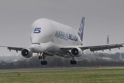 Airbus BelugaST-5: 'Cá voi trắng' của bầu trời chính thức nghỉ hưu