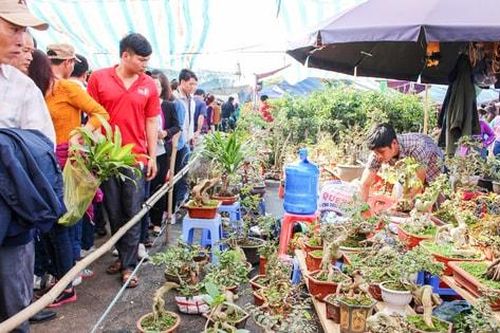 Chợ Viềng Vụ Bản: Điểm hẹn du lịch văn hóa tâm linh đặc sắc