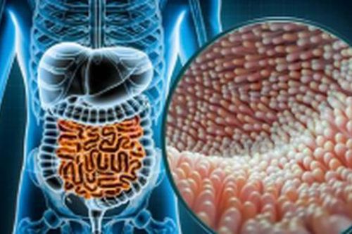 Cách nuôi dưỡng 'bộ não thứ hai' khỏe mạnh?