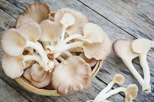 4 nguồn thực phẩm bù đắp lượng vitamin D bị thiếu hụt trong mùa đông