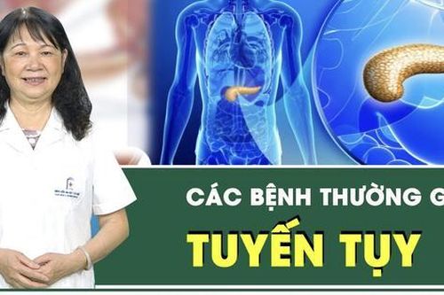 Chức năng của tuyến tụy và các bệnh thường gặp