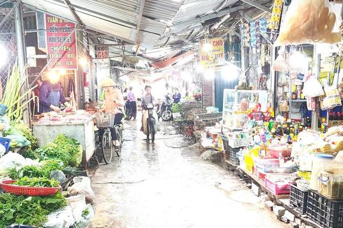Quy định xử phạt vi phạm hành chính trong lĩnh vực thú y