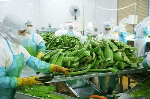 'Vua nha đam' lãi kỷ lục